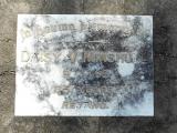 image of grave number 588272